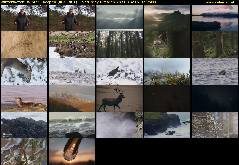 Winterwatch: Winter Escapes (BBC RB 1) Saturday 6 March 2021 04:16 - 04:31