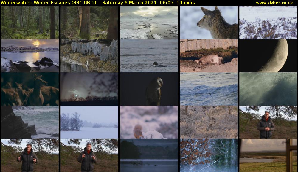 Winterwatch: Winter Escapes (BBC RB 1) Saturday 6 March 2021 06:05 - 06:19