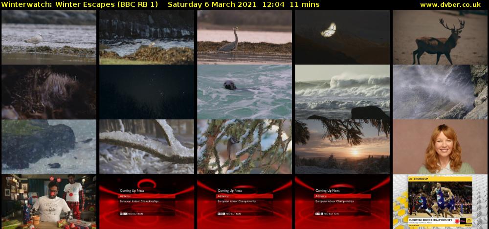 Winterwatch: Winter Escapes (BBC RB 1) Saturday 6 March 2021 12:04 - 12:15