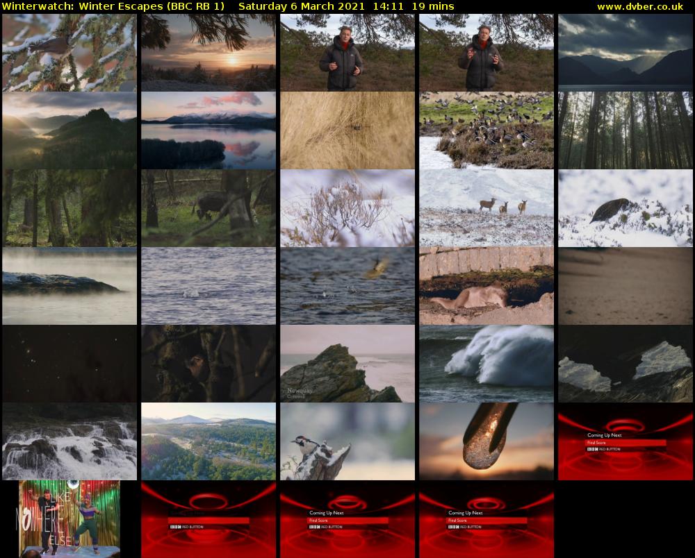 Winterwatch: Winter Escapes (BBC RB 1) Saturday 6 March 2021 14:11 - 14:30