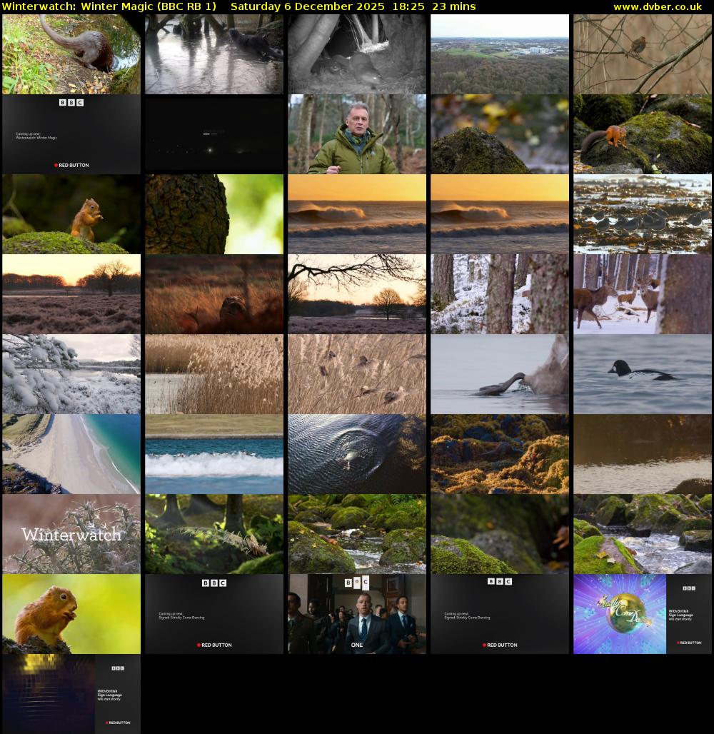 Winterwatch: Winter Magic (BBC RB 1) Saturday 6 December 2025 18:25 - 18:48