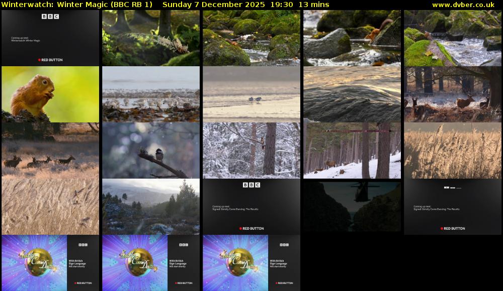 Winterwatch: Winter Magic (BBC RB 1) Sunday 7 December 2025 19:30 - 19:43