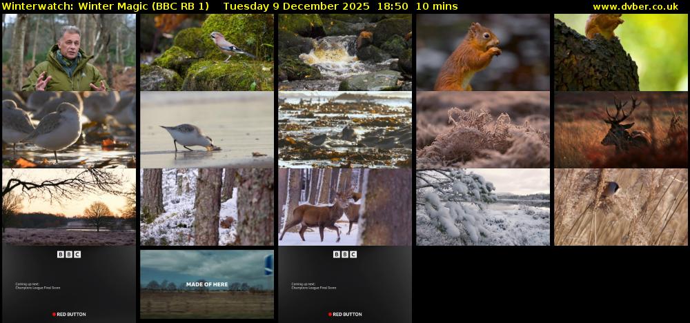 Winterwatch: Winter Magic (BBC RB 1) Tuesday 9 December 2025 18:50 - 19:00