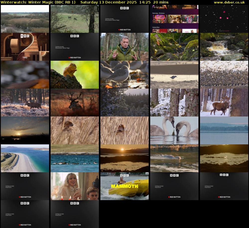 Winterwatch: Winter Magic (BBC RB 1) Saturday 13 December 2025 14:25 - 14:45