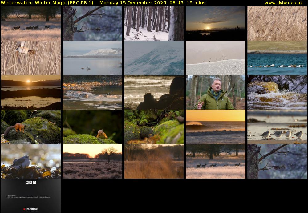 Winterwatch: Winter Magic (BBC RB 1) Monday 15 December 2025 08:45 - 09:00