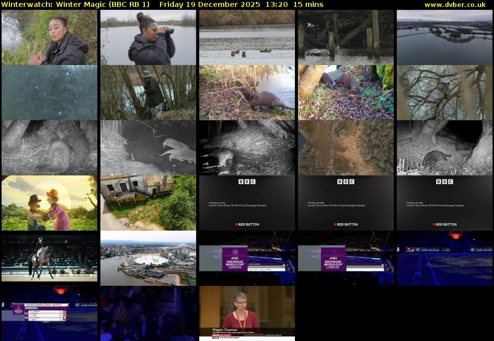 Winterwatch: Winter Magic (BBC RB 1) Friday 19 December 2025 13:20 - 13:35