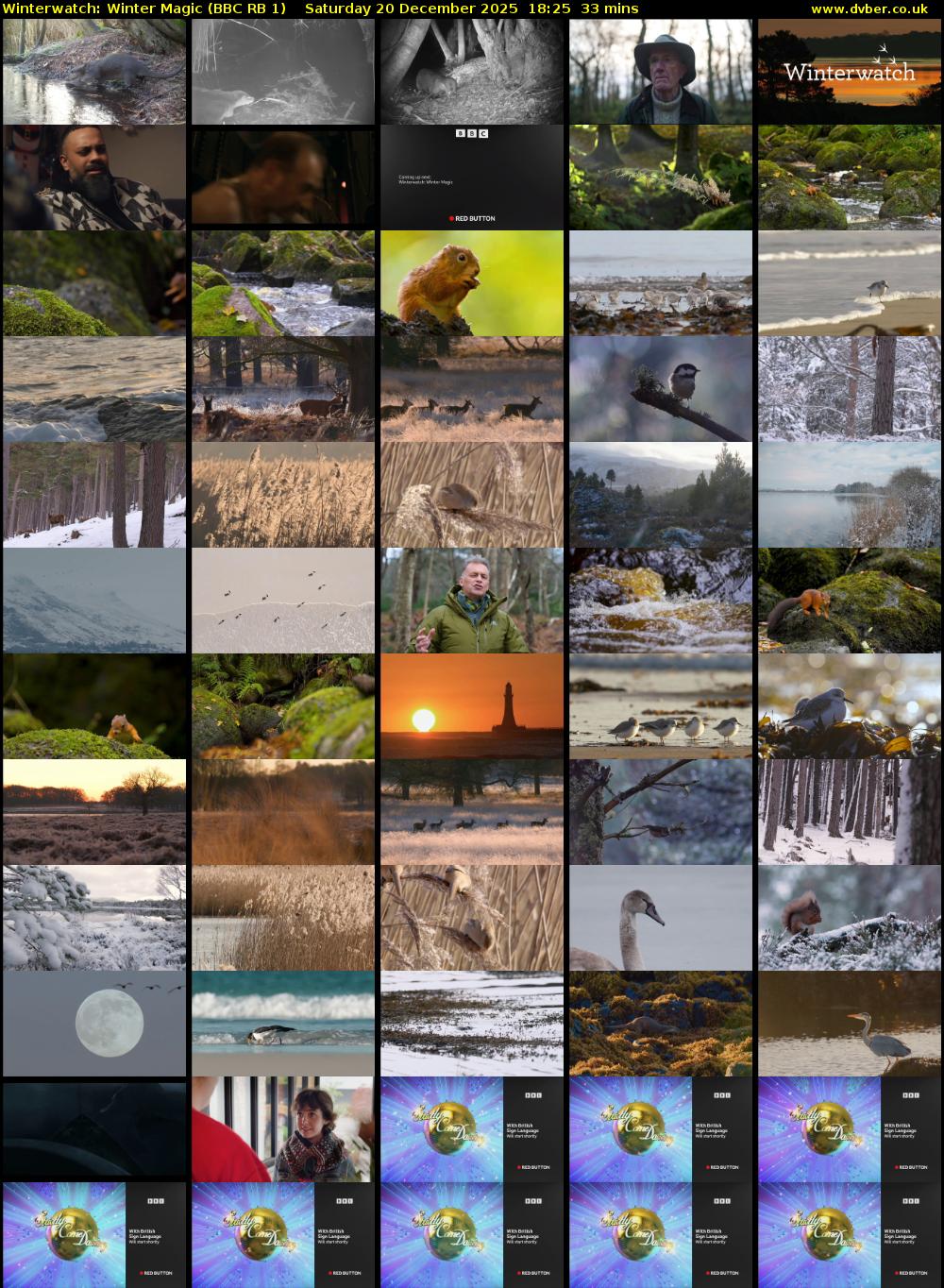 Winterwatch: Winter Magic (BBC RB 1) Saturday 20 December 2025 18:25 - 18:58