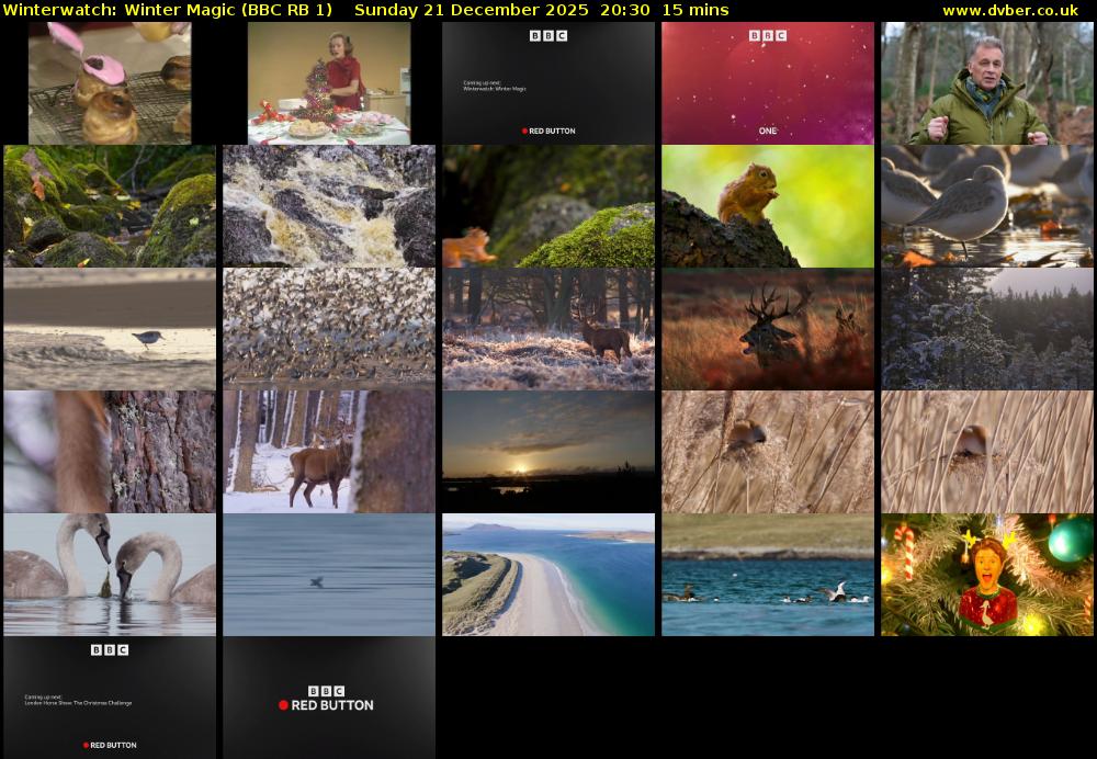 Winterwatch: Winter Magic (BBC RB 1) Sunday 21 December 2025 20:30 - 20:45
