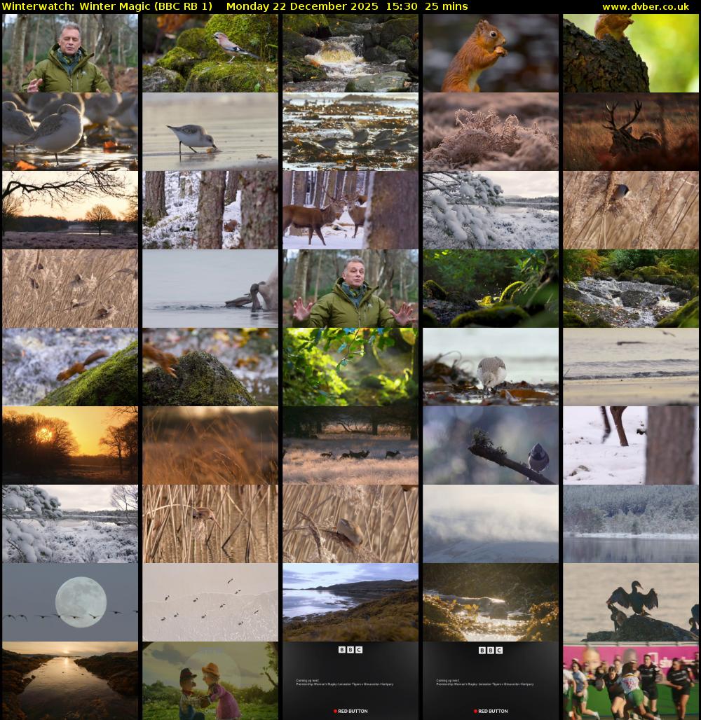 Winterwatch: Winter Magic (BBC RB 1) Monday 22 December 2025 15:30 - 15:55