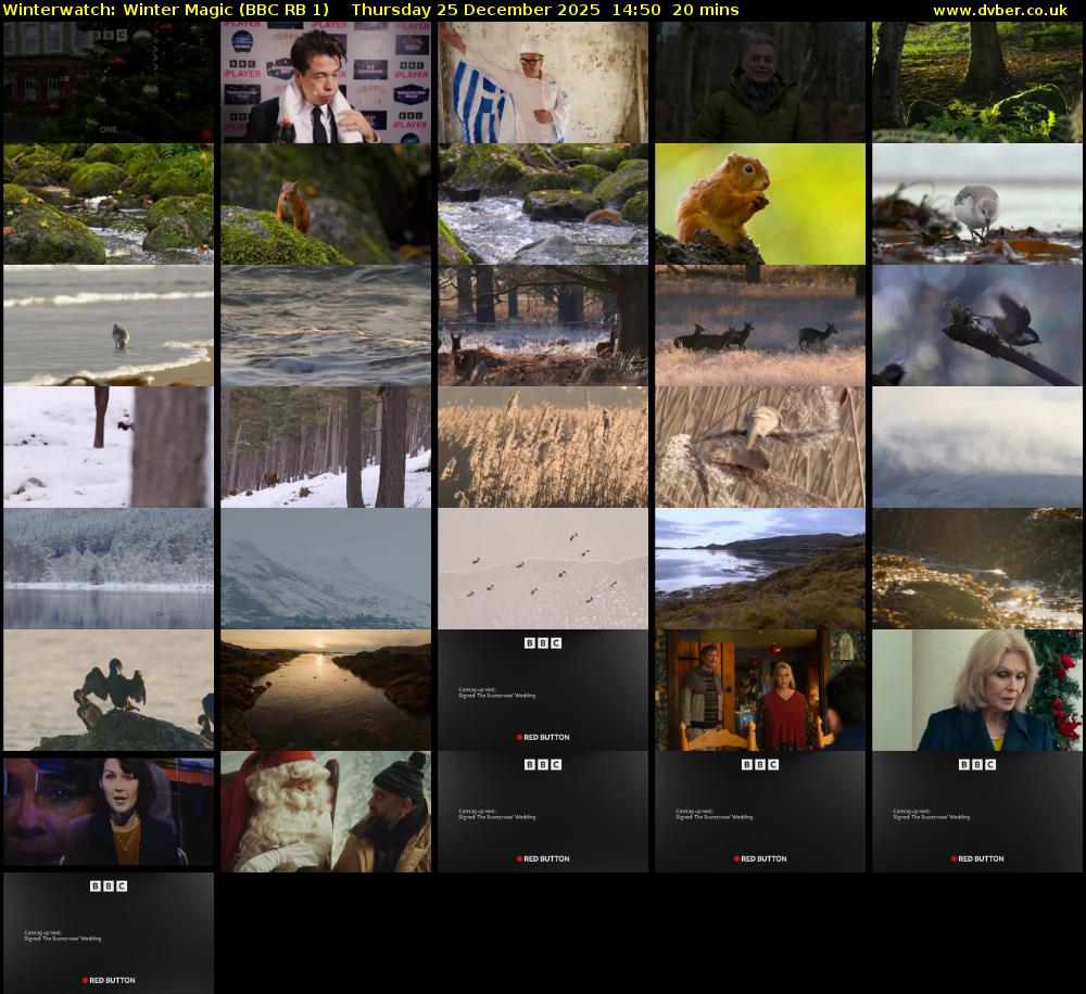 Winterwatch: Winter Magic (BBC RB 1) Thursday 25 December 2025 14:50 - 15:10
