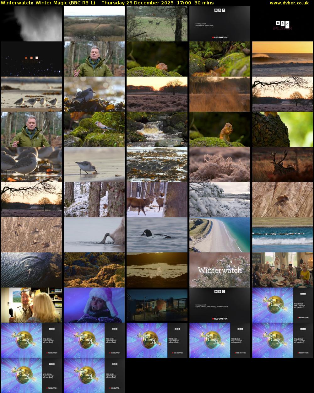 Winterwatch: Winter Magic (BBC RB 1) Thursday 25 December 2025 17:00 - 17:30