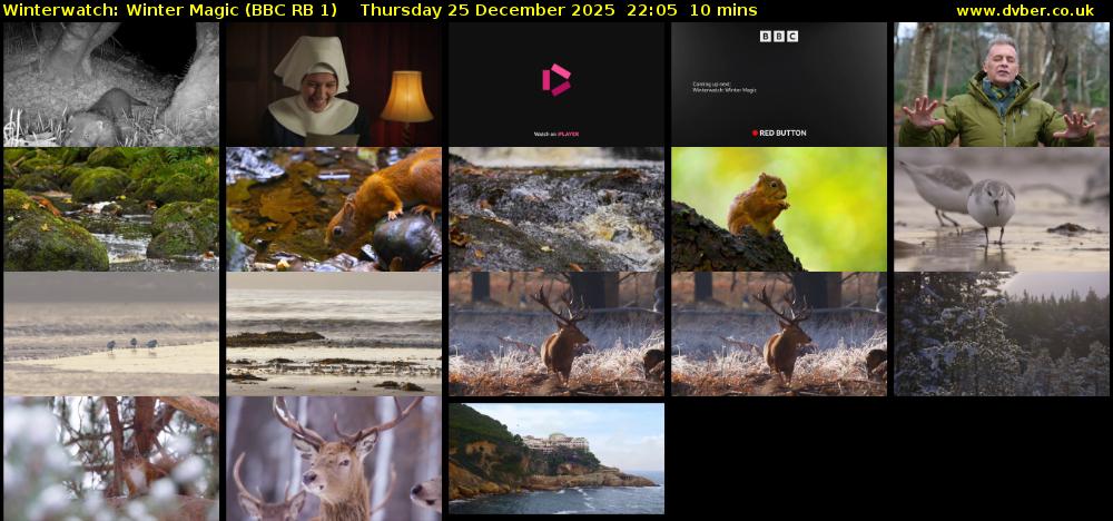 Winterwatch: Winter Magic (BBC RB 1) Thursday 25 December 2025 22:05 - 22:15