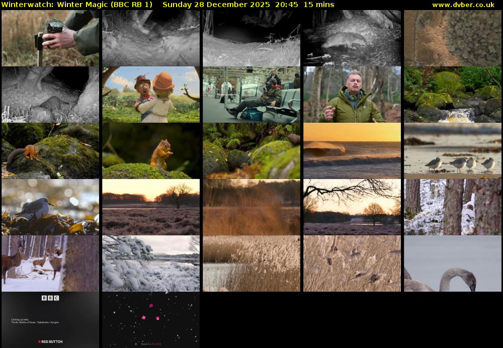 Winterwatch: Winter Magic (BBC RB 1) Sunday 28 December 2025 20:45 - 21:00