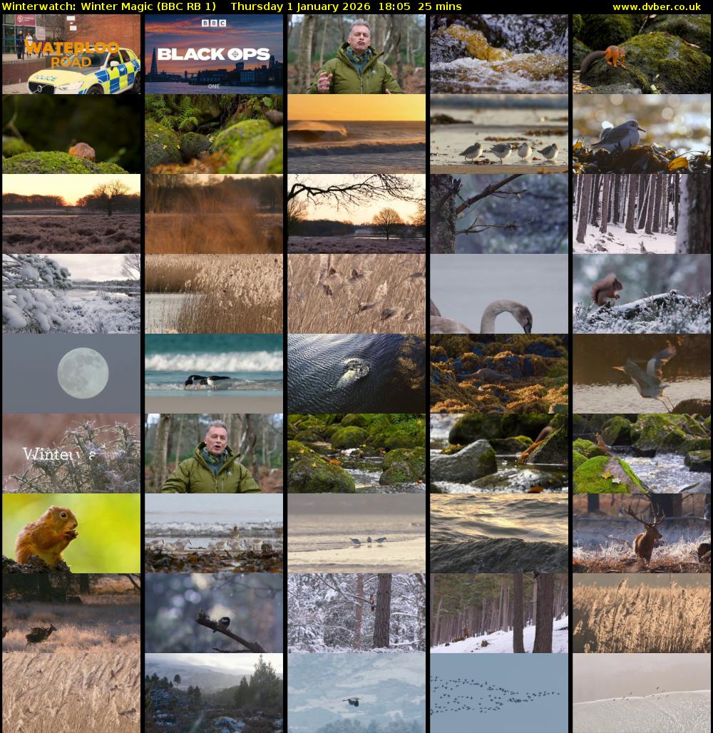 Winterwatch: Winter Magic (BBC RB 1) Thursday 1 January 2026 18:05 - 18:30