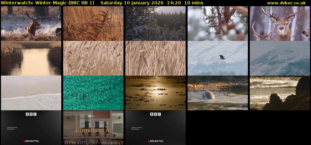 Winterwatch: Winter Magic (BBC RB 1) Saturday 10 January 2026 14:20 - 14:30