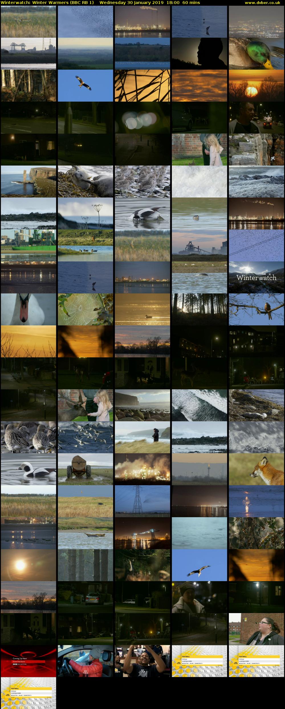 Winterwatch: Winter Warmers (BBC RB 1) Wednesday 30 January 2019 18:00 - 19:00