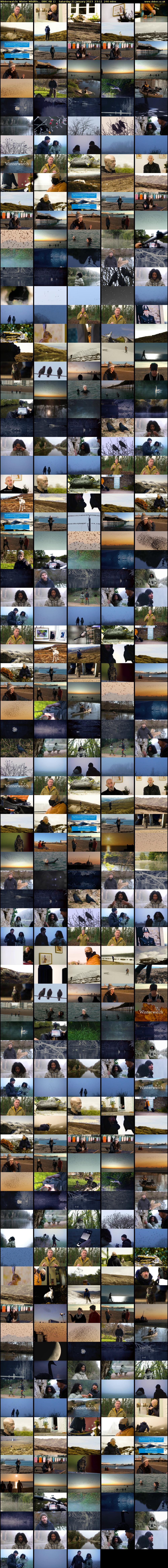Winterwatch: Winter Wildlife... (BBC RB 1) Saturday 21 January 2023 23:11 - 03:11