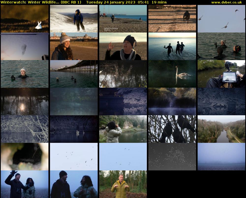 Winterwatch: Winter Wildlife... (BBC RB 1) Tuesday 24 January 2023 05:41 - 06:00