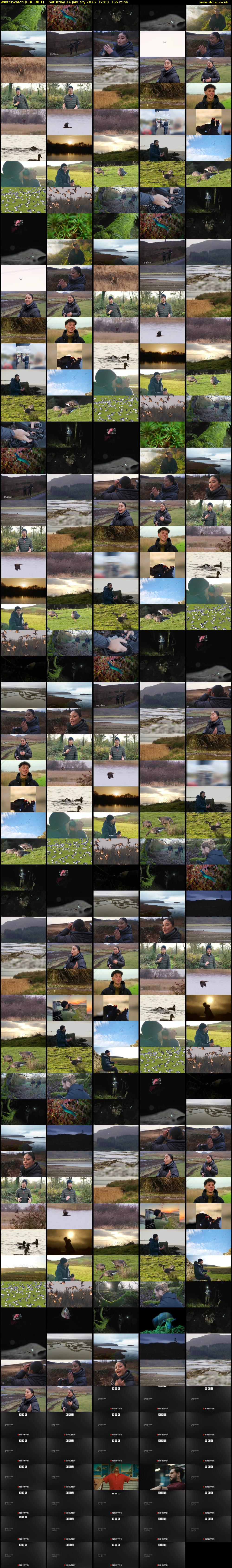 Winterwatch (BBC RB 1) Saturday 24 January 2026 12:00 - 14:45