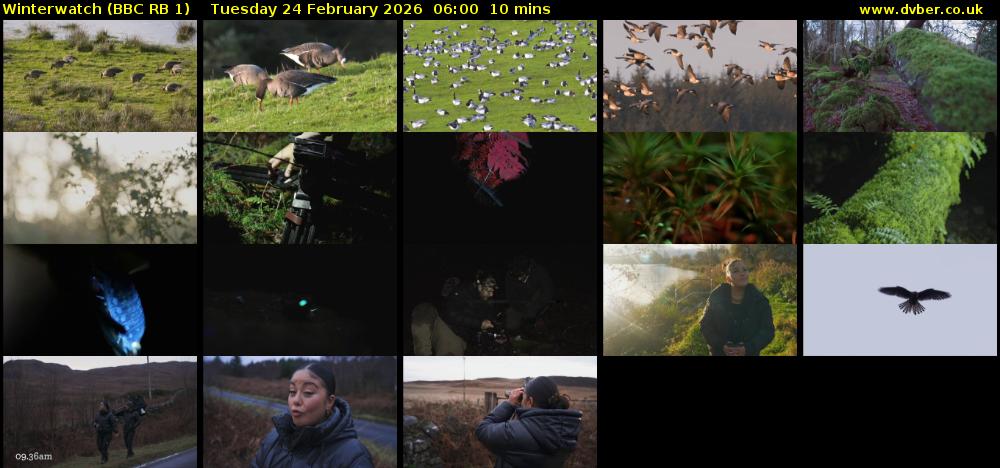 Winterwatch (BBC RB 1) Tuesday 24 February 2026 06:00 - 06:10