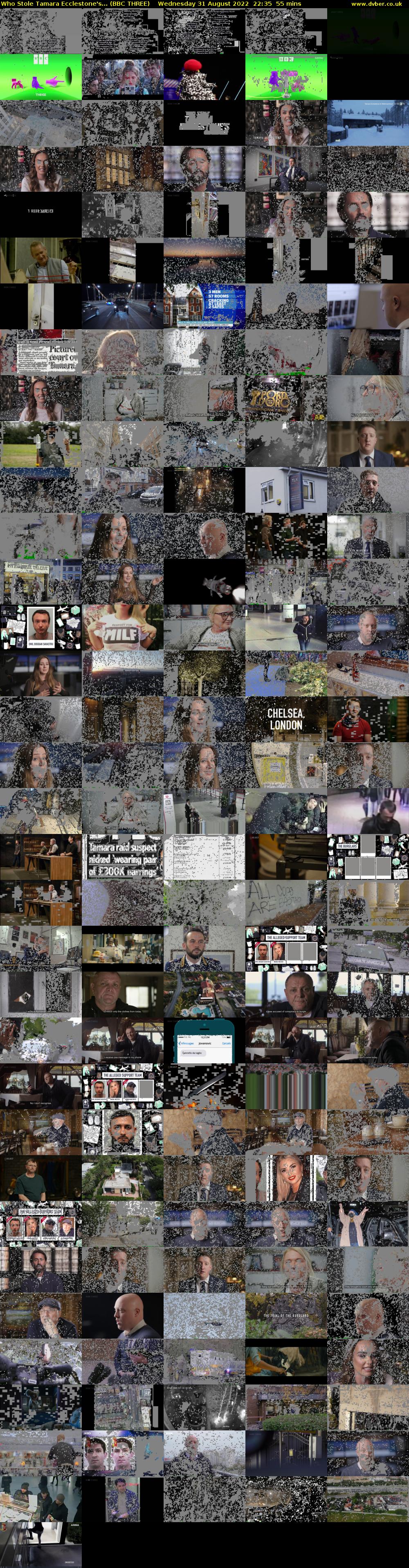 Who Stole Tamara Ecclestone's... (BBC THREE) Wednesday 31 August 2022 22:35 - 23:30