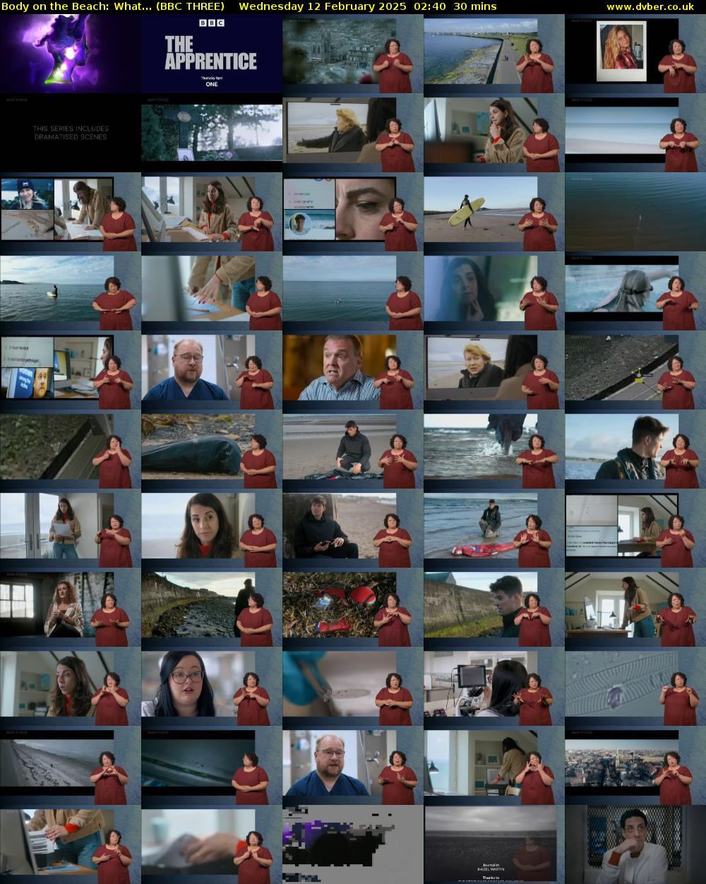 Body on the Beach: What... (BBC THREE) Wednesday 12 February 2025 02:40 - 03:10
