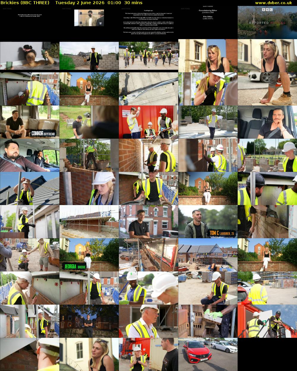 Brickies (BBC THREE) Tuesday 2 June 2026 01:00 - 01:30