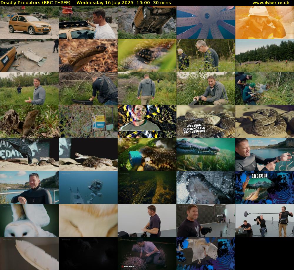 Deadly Predators (BBC THREE) Wednesday 16 July 2025 19:00 - 19:30