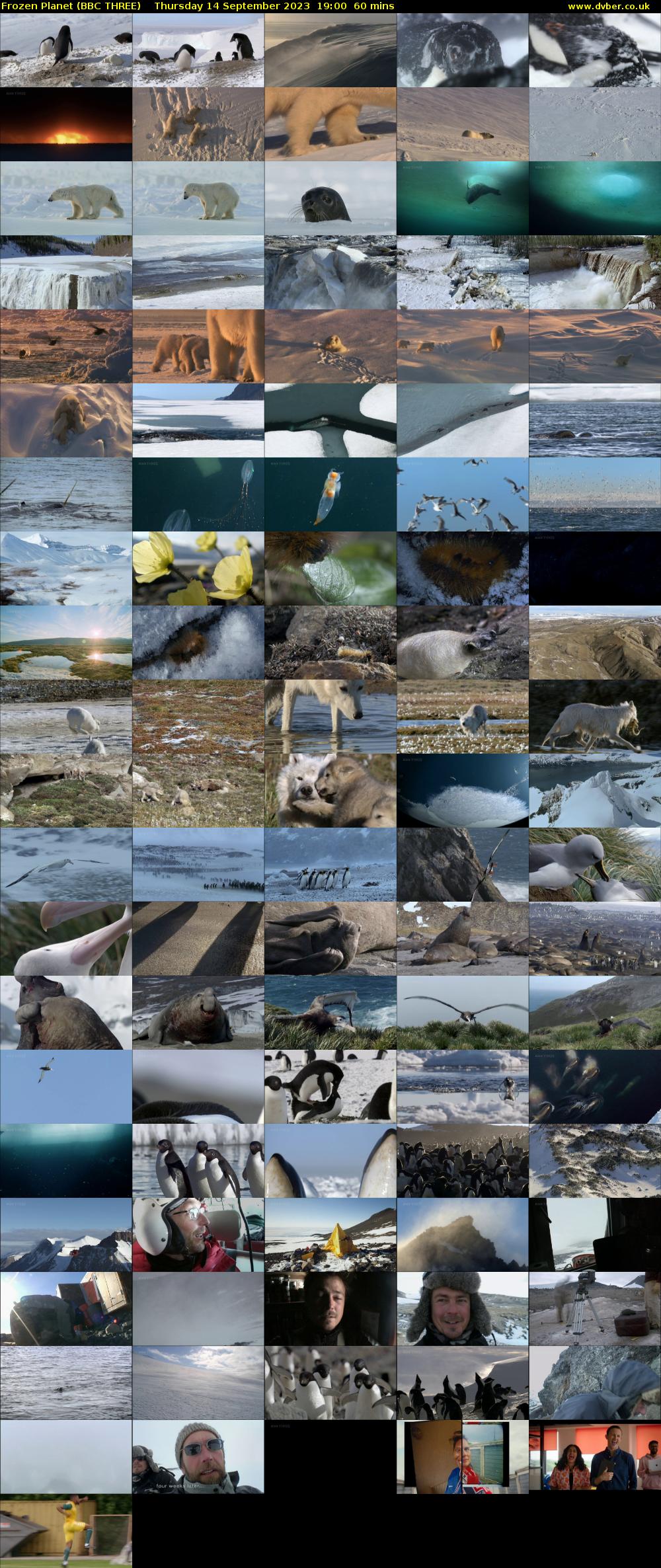 Frozen Planet (BBC THREE) Thursday 14 September 2023 19:00 - 20:00