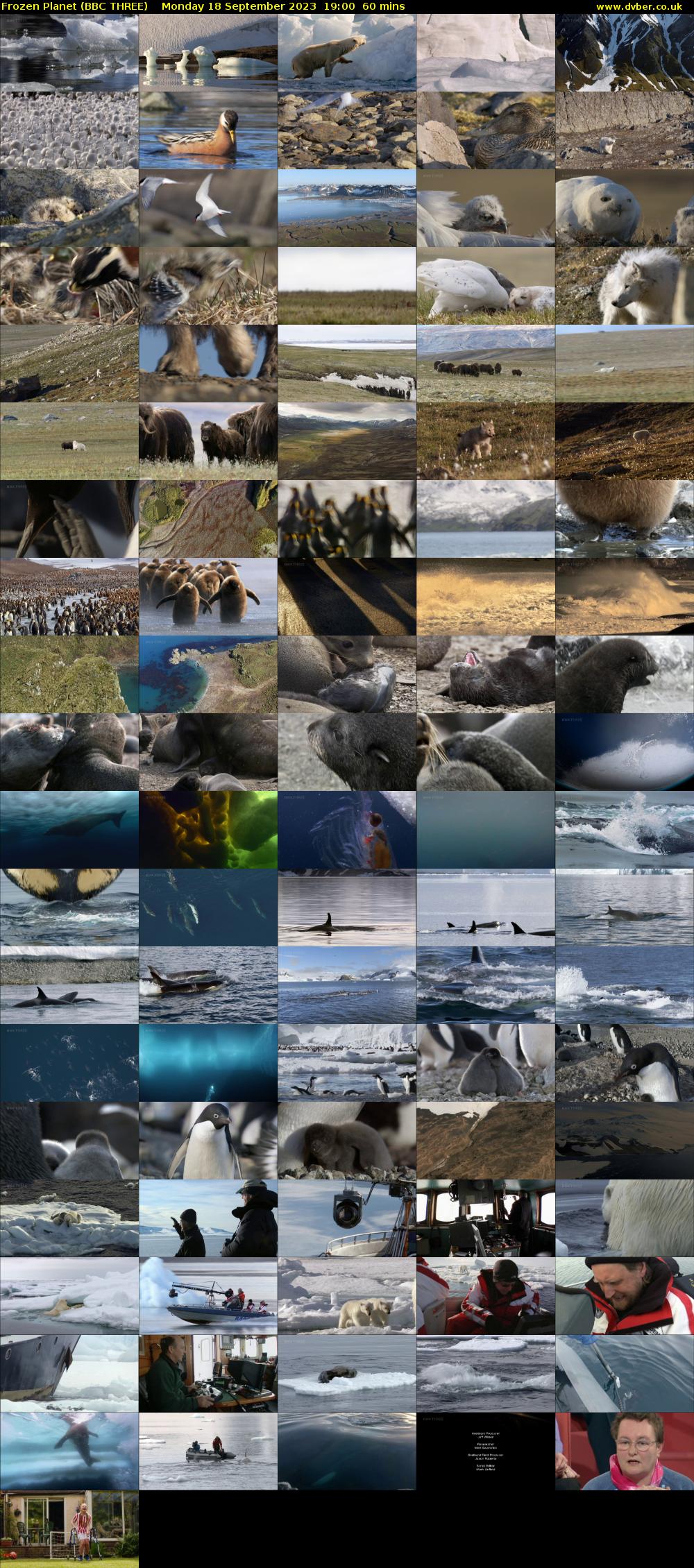 Frozen Planet (BBC THREE) Monday 18 September 2023 19:00 - 20:00