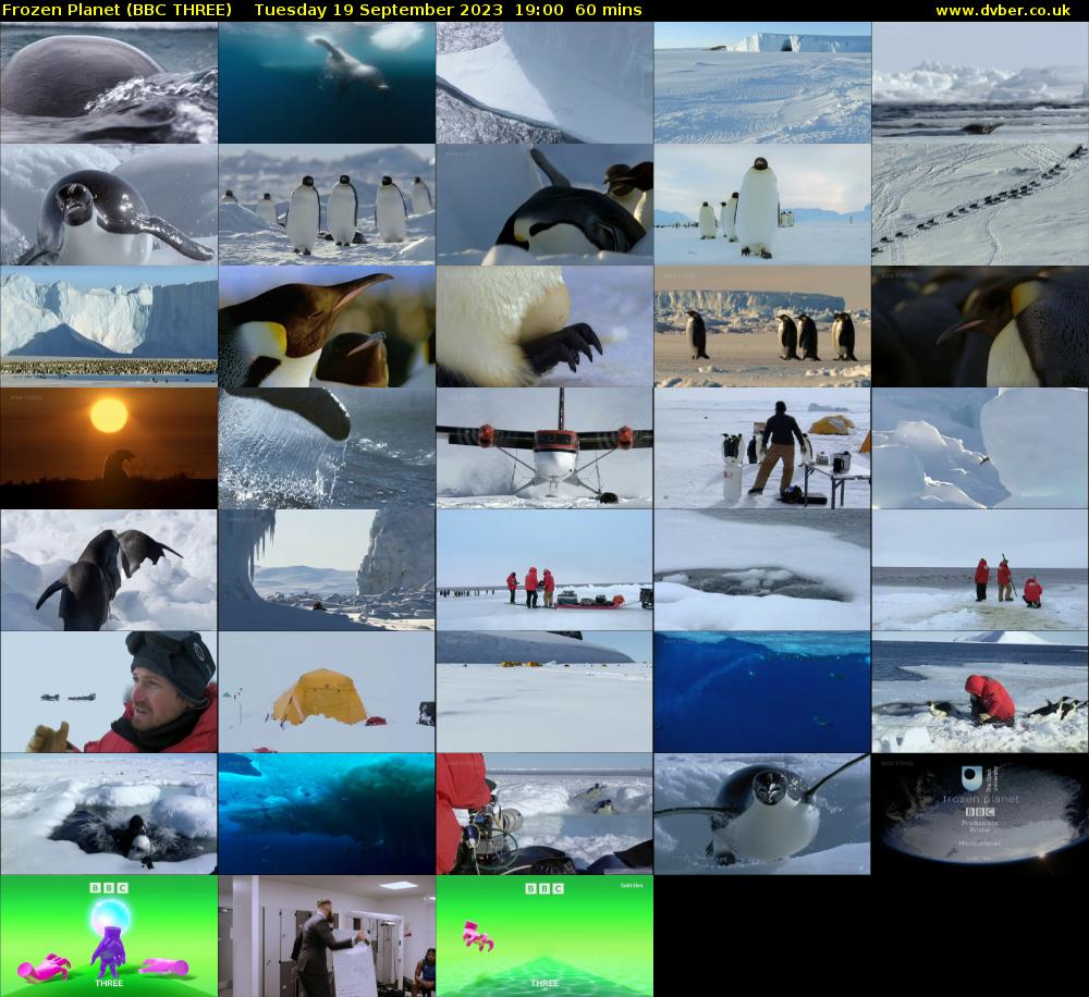 Frozen Planet (BBC THREE) Tuesday 19 September 2023 19:00 - 20:00
