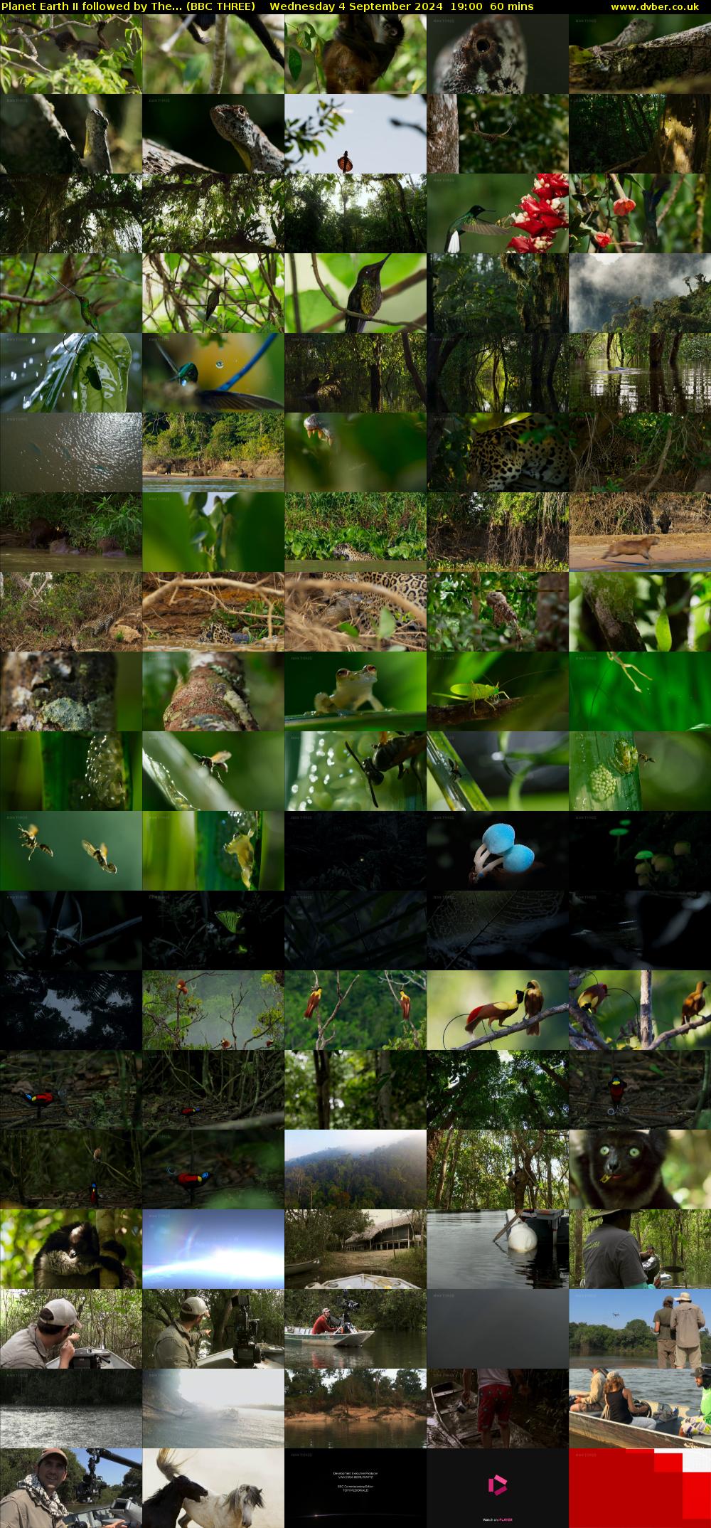 Planet Earth II followed by The... (BBC THREE) Wednesday 4 September 2024 19:00 - 20:00
