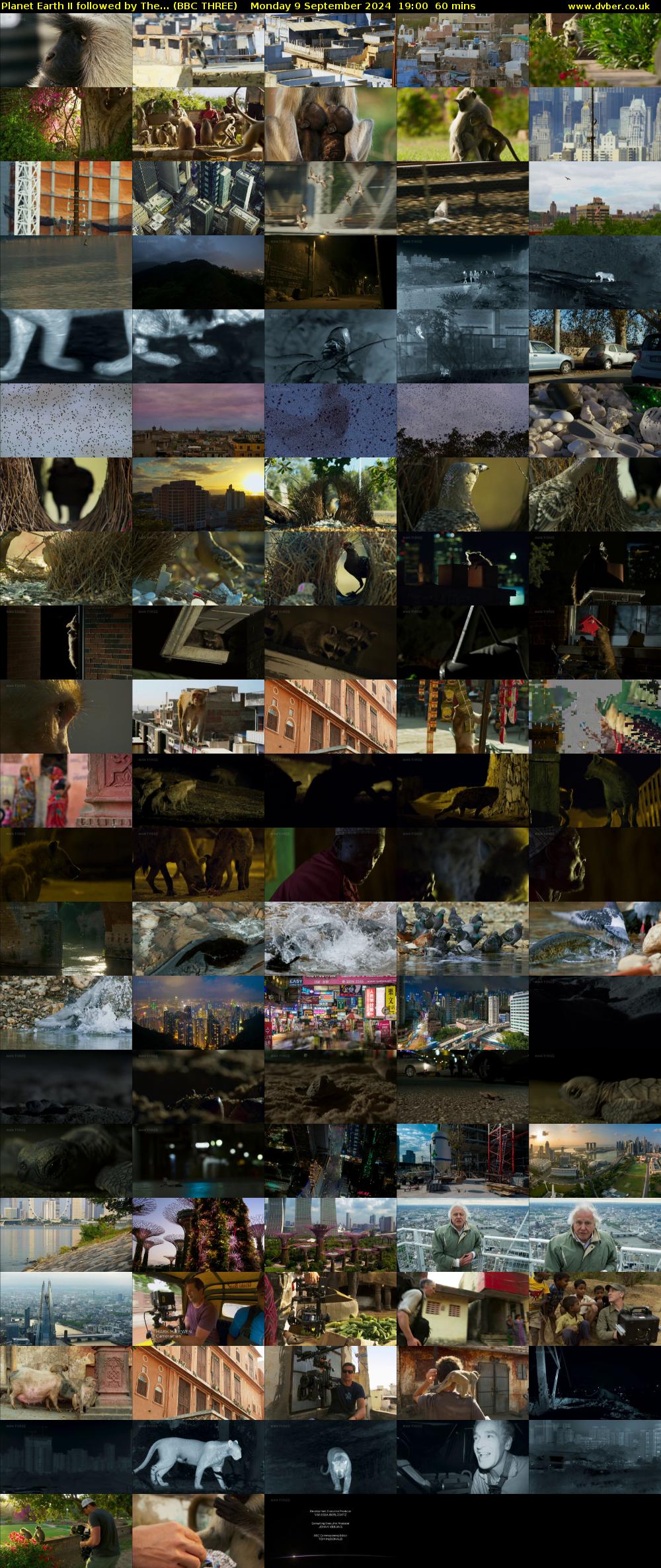 Planet Earth II followed by The... (BBC THREE) Monday 9 September 2024 19:00 - 20:00