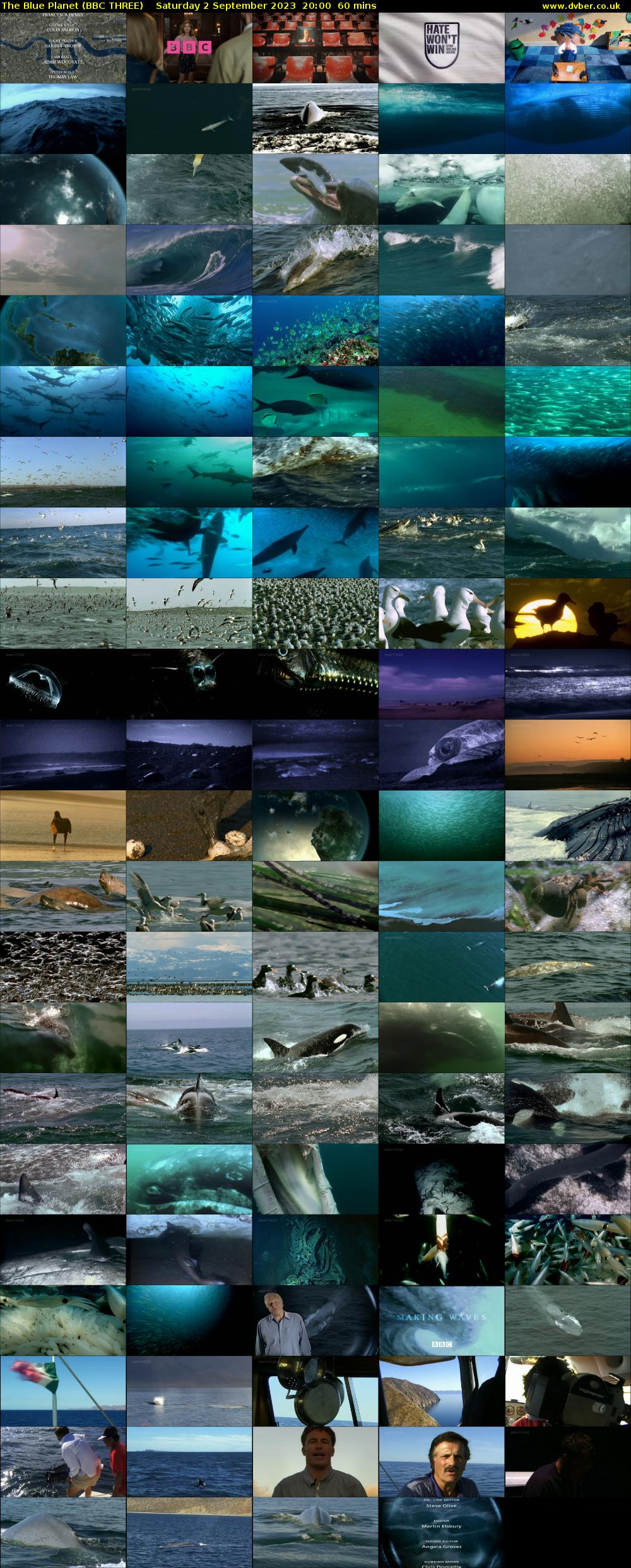 The Blue Planet (BBC THREE) Saturday 2 September 2023 20:00 - 21:00