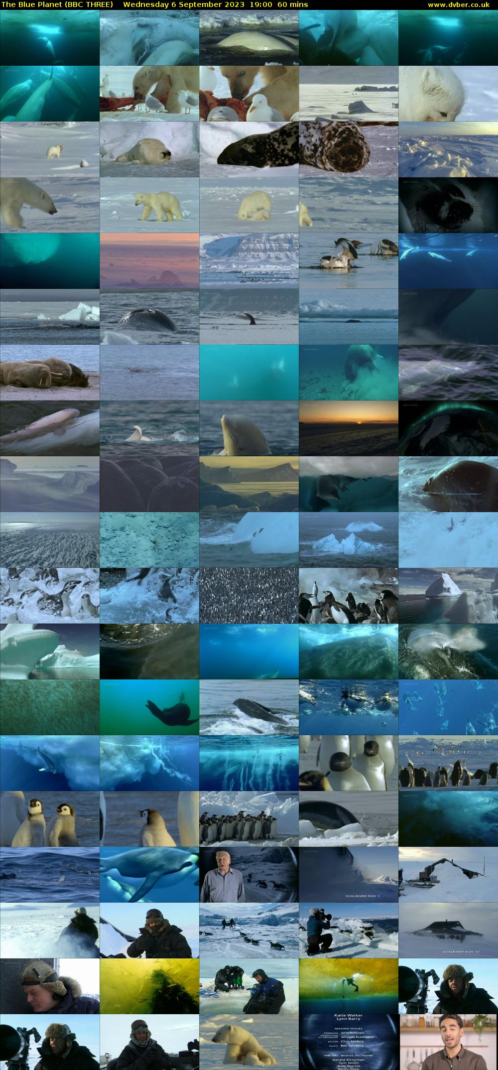 The Blue Planet (BBC THREE) Wednesday 6 September 2023 19:00 - 20:00