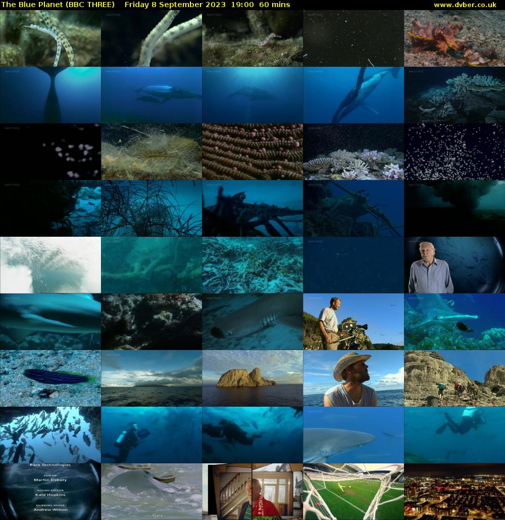 The Blue Planet (BBC THREE) Friday 8 September 2023 19:00 - 20:00
