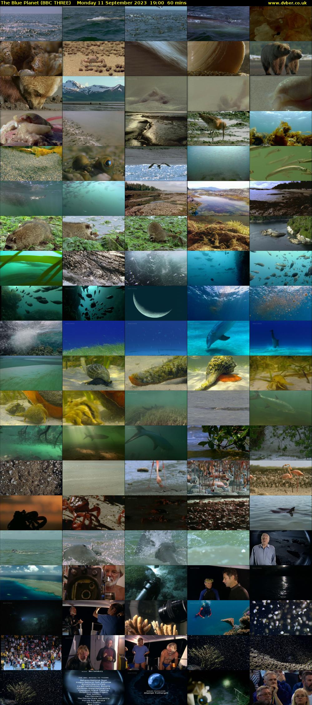 The Blue Planet (BBC THREE) Monday 11 September 2023 19:00 - 20:00