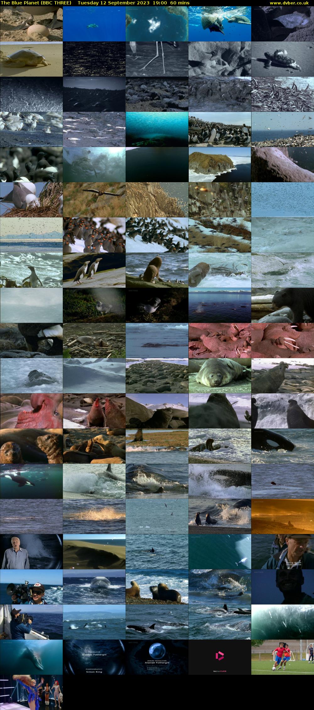 The Blue Planet (BBC THREE) Tuesday 12 September 2023 19:00 - 20:00