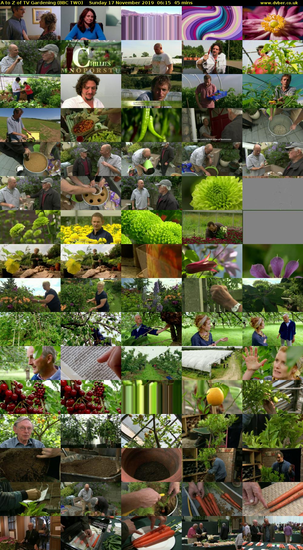A to Z of TV Gardening (BBC TWO) Sunday 17 November 2019 06:15 - 07:00