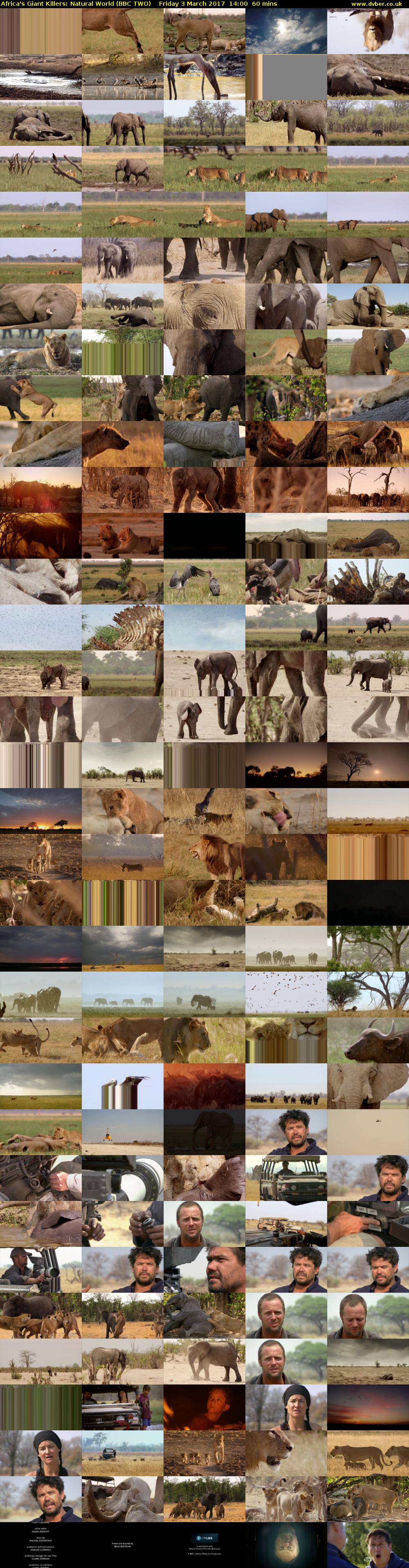 Africa's Giant Killers: Natural World (BBC TWO) Friday 3 March 2017 14:00 - 15:00