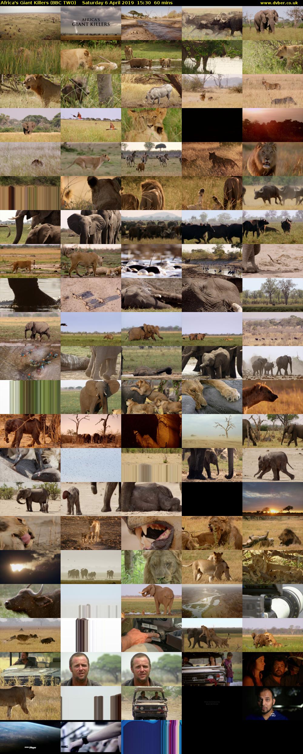 Africa's Giant Killers (BBC TWO) Saturday 6 April 2019 15:30 - 16:30