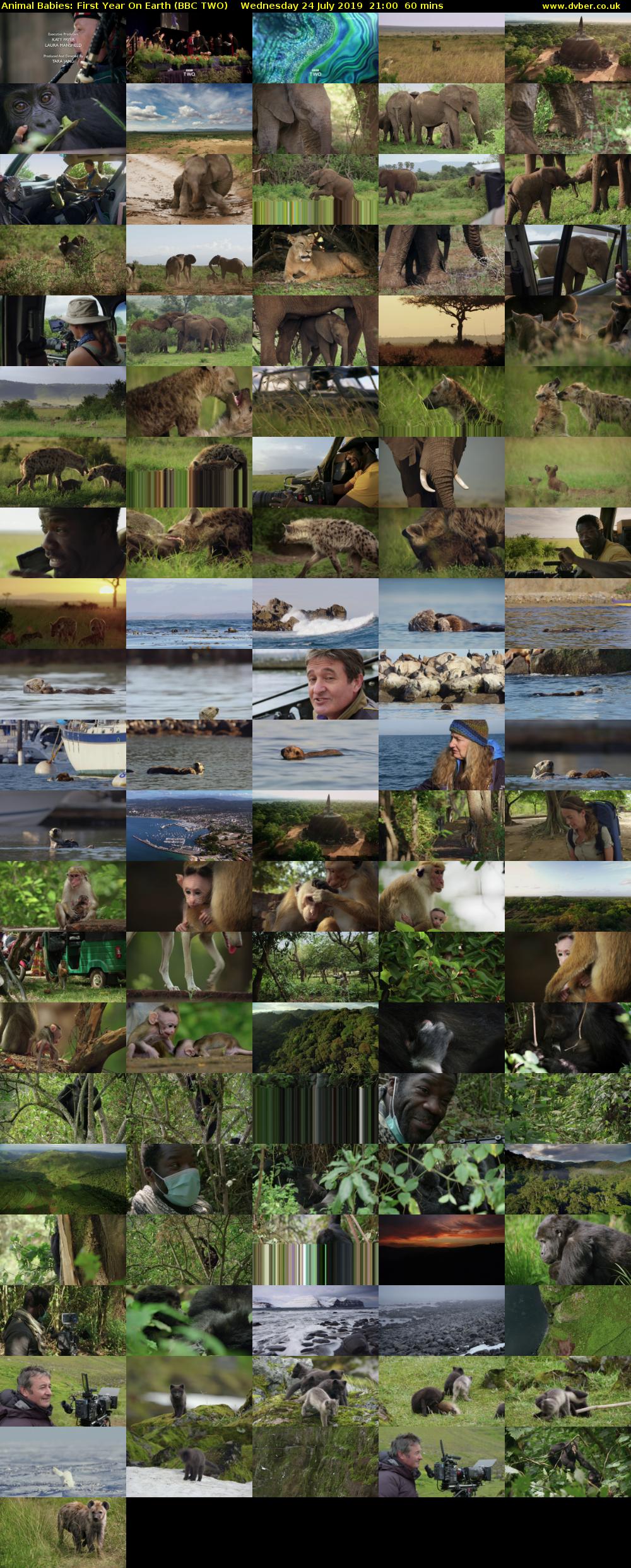 Animal Babies: First Year On Earth (BBC TWO) Wednesday 24 July 2019 21:00 - 22:00