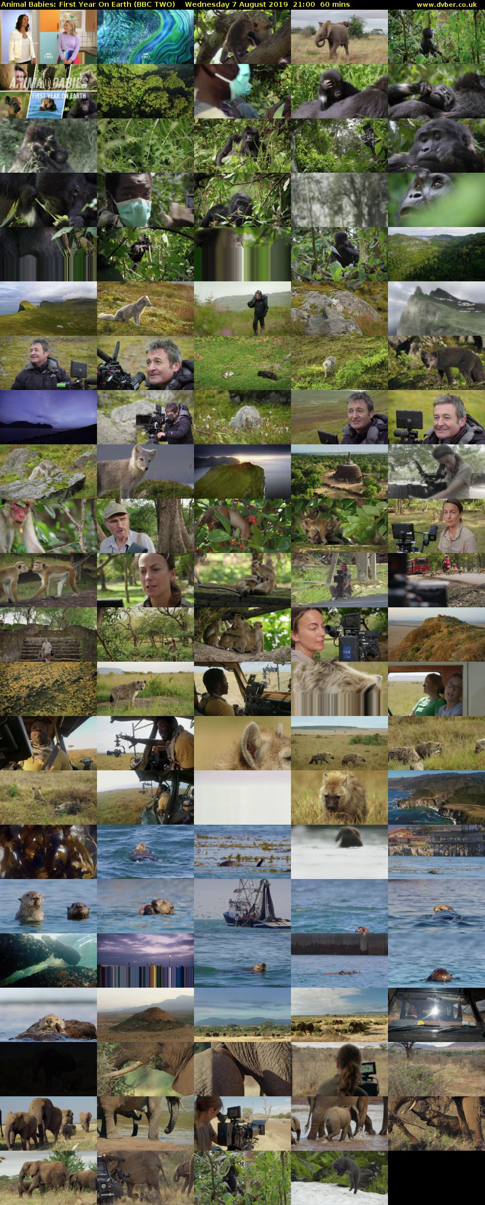 Animal Babies: First Year On Earth (BBC TWO) Wednesday 7 August 2019 21:00 - 22:00