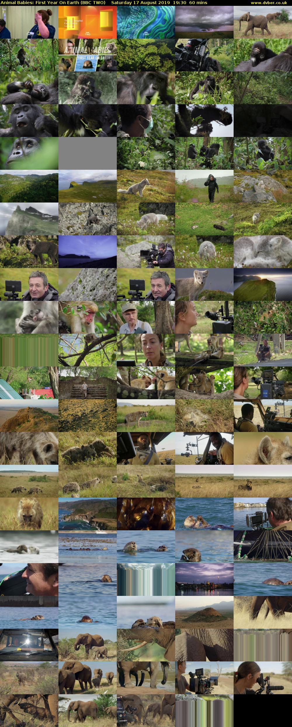 Animal Babies: First Year On Earth (BBC TWO) Saturday 17 August 2019 19:30 - 20:30