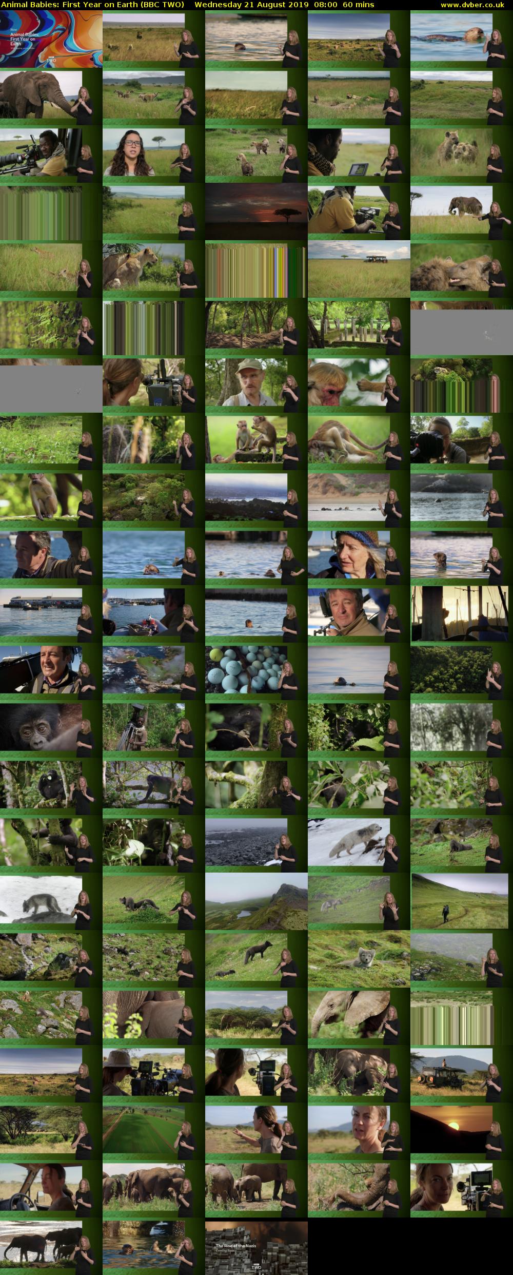 Animal Babies: First Year on Earth (BBC TWO) Wednesday 21 August 2019 08:00 - 09:00