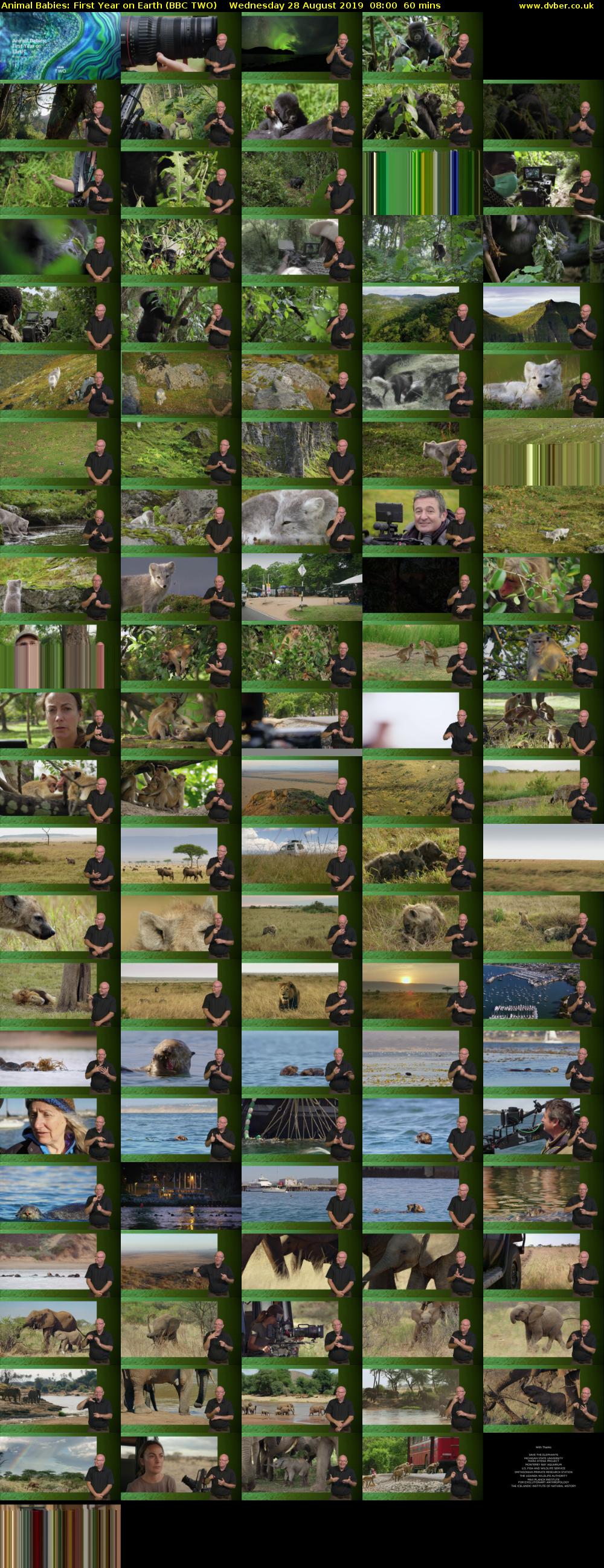 Animal Babies: First Year on Earth (BBC TWO) Wednesday 28 August 2019 08:00 - 09:00
