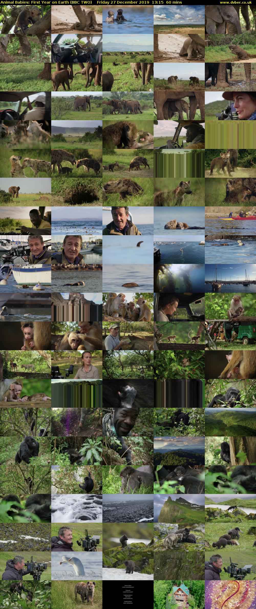 Animal Babies: First Year on Earth (BBC TWO) Friday 27 December 2019 13:15 - 14:15