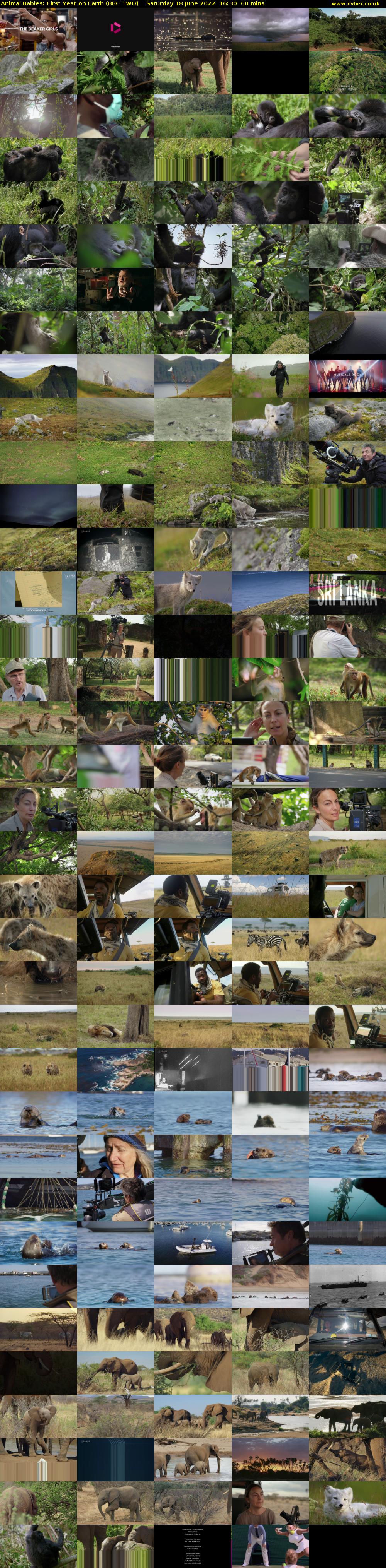 Animal Babies: First Year on Earth (BBC TWO) Saturday 18 June 2022 16:30 - 17:30