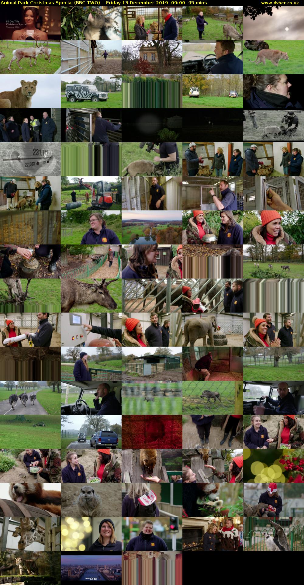 Animal Park Christmas Special (BBC TWO) Friday 13 December 2019 09:00 - 09:45