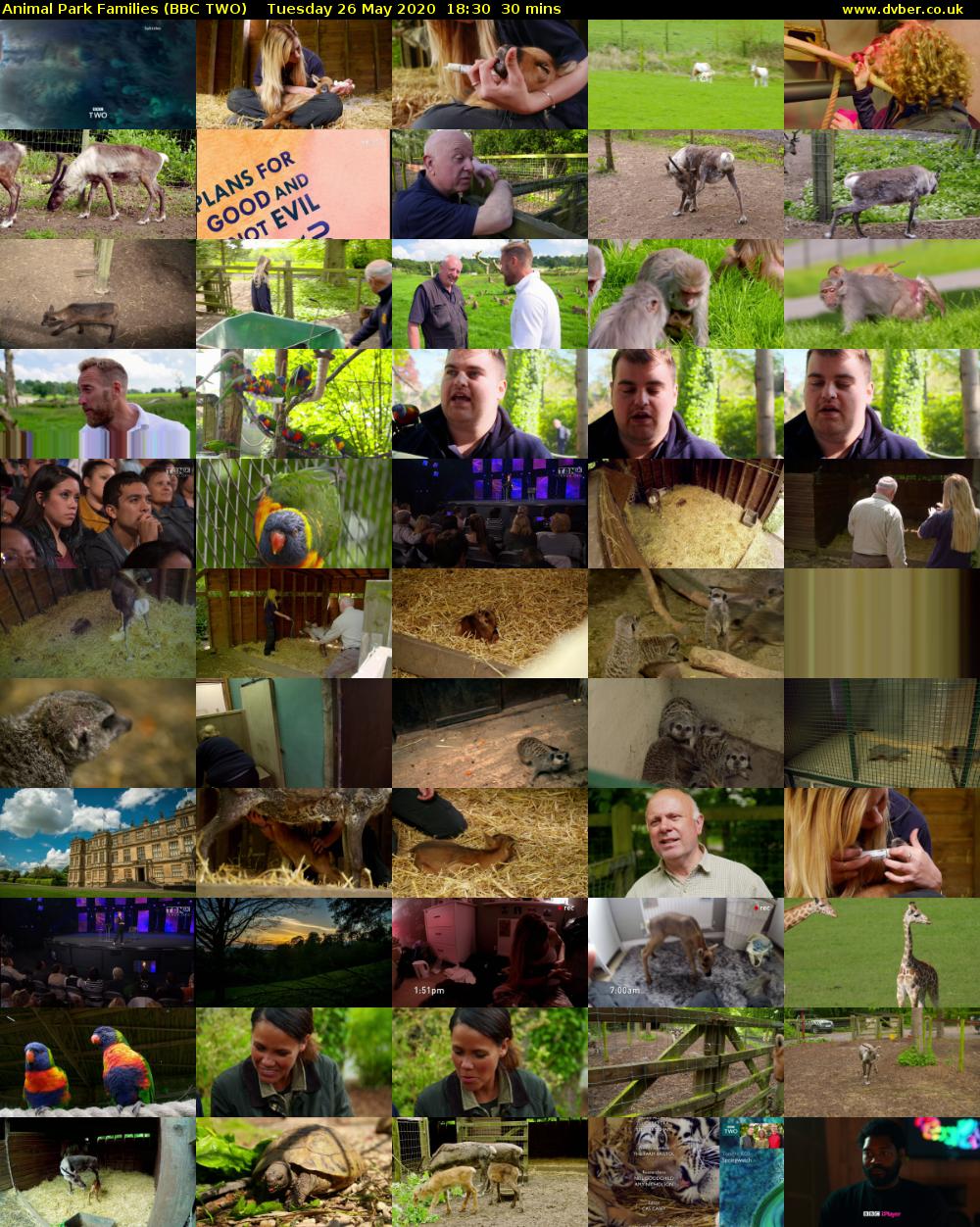Animal Park Families (BBC TWO) Tuesday 26 May 2020 18:30 - 19:00